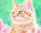 あなたの猫ちゃんリアル系に描きます お写真があれば、他の動物もご相談可能。頑張ります! イメージ1