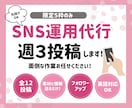 丸投げOK！30日間インスタグラム運用します 限定５枠！カウンセリング後希望の用途に合わせて投稿します！ イメージ1