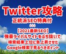 ツイッター攻略＆2021最新正統派SEO特典ざます ブロガー必読！Googleに正解を強制表示させる盲点SEO術 イメージ1