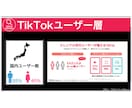 SNSのプロが1ヶ月TikTok運用代行します TikTok実績30件以上！認知・集客・採用を全力支援！ イメージ5