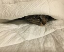 本音で話すって勇気がいります 知らない誰かになら少し話せそうな気がしませんか？ イメージ1