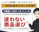 認定講師が中国輸入OEMをスポットコンサルします 1回完結｜目標設定・リサーチ手順・候補商品2件の判定まで イメージ1