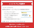 初心者向け☆ピンタレスト運用代行いたします 特典付き☆ビデオチャットでピンタレストの操作方法を解説します イメージ9