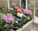 花壇・寄せ植えの植栽デザイン提案します 写真を基に､完成イメージ付きで分かりやすく提案 イメージ5