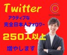 Twitterフォロワー250名以上増やします 日本人のアクティブユーザーのみ！フォロワー獲得の手引き付き イメージ1