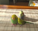 誰にも言えない恋の悩み、私が解決します 恋愛迷子卒業！理想の恋を叶えよう イメージ2