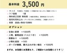ブログや書籍、HPの挿絵にゆるかわイラストます 人物、動物のゆるかわイラスト描きます イメージ2