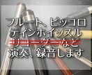 フルート、ティンホイッスルを演奏、録音します 打ち込みでは出せないニュアンスが欲しい方へ イメージ1