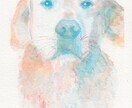 透明水彩で雰囲気のある似顔絵作成致します 透明水彩の特徴を活かした似顔絵で注目されること間違いなし! イメージ5