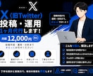 1ヶ月　X運用代行、投稿代行をします 丁寧な設計と実践力で、毎日の発信を伴走します イメージ1