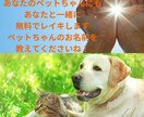 レイキで今あなたに必要な癒しを届けます 宇宙の癒しのエネルギー、1か月間合計4回毎週送ります。 イメージ4