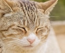 さみしい。誰かとお話したいとき。お話相手になります １分から。どんなお話でも大丈夫です。 イメージ1