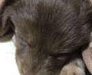 あなたの悩みをズバッと解決します 悩みならなんでも来いバッチ来いです。 イメージ2