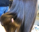 美髪になれるヘアケア方法をお教えします 猫っ毛、くせ毛、軟毛、パサつき、ダメージでお悩みの方へ イメージ2