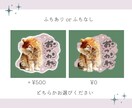 うちの子スタンプ作ります 皆様の大切な「うちの子」をLINEスタンプにしてみませんか？ イメージ6