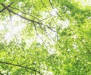 子どもと心を繋ぐ｜タロットで親子の今と未来占います 子育てに迷ったとき、親子の心をそっとひもとく イメージ6