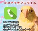 ココナラ出品者向け☆出品者相談カフェを開店します 実績1000件のオカメインコにココナラのお悩みをゆるっと相談 イメージ1