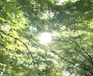 直接対話でスピリチュアルカウンセリングいたします 自分自身で幸せな人生を創る！プロスピリチュアラーとの対話。 イメージ2