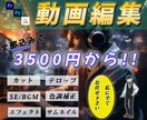 動画編集、サムネイル作成承ります 私のサムネイル案から視聴者数が激増したと喜びの声を頂きました イメージ1