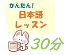 フレンドリーな先生が日本語のレッスンをします プロの日本語教師から超リアルな日本語が安く学べる！ イメージ1