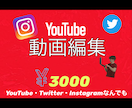 高品質な動画編集を1日でお届けします YouTube・Twitter・Instagramなんでも！ イメージ1