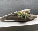 多肉植物の寄せ植えお作りします 多肉植物の専門家があなたにピッタリの寄せ植えをお作りします イメージ9