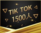 TikTokフォロワー1500人増加させます ☆最安値挑戦☆30日間の減少保証 イメージ1