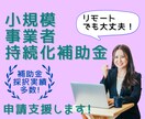小規模事業者持続化補助金オンライン申請支援します 採択実績多数!補助金コンサルタントが対応いたします。 イメージ1