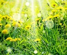 心のモヤモヤ、軽くします ～あなたの輝く日々のために、心の悪循環の解消をサポート！！～ イメージ1