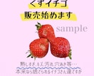 農家さん･個人販売店向け！チラシやPOPつくります 手に取ってもらえる、季節等にも合わせたチラシお作りします！ イメージ6