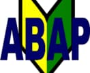 ABAPの質問や悩みにスピーディーに答えます ABAP開発の初心者、トラブルだらけのSEにオススメ！ イメージ1
