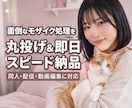 ファンサイト審査対応！モザイク編集代行します 【最大120分の動画OK】モザイク編集を丸投げ＆スピード納品 イメージ1
