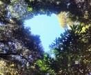 1日チャット！じっくり☆何でもお聞きします 雑談〜深い話まで☆ゆっくりお話お聞きします★ イメージ7