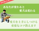 愛犬を上手にしつける重要なコツ教えます やらない行動を学ぶとやるべき指導方法を学ぶより成果は大きい！ イメージ1