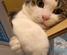 つらくて苦しい気持ちをスッキリさせます 経験あるカウンセラーが仕事/教育/家族の悩みを傾聴します。 イメージ3