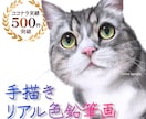 ハイクオリティなペット画を、色鉛筆で手描きします ♪精密描写＊ペットの肖像画＊記念プレゼント＊インテリアアート イメージ1