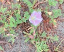 どんな悩みでも聴きます どんな悩みも受け止めます(๑• ω •๑) イメージ1