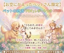 お空のペットさんとアニマルコミュニケーションします 【ペットの終活PDE付】【高波動時のみ限定】募集いたします。 イメージ1