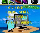 どんな動画でも編集いたします あなたのSNS活動を全力でサポートします イメージ1