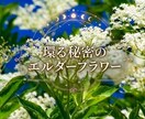 一問一答⚫︎至極の霊視　誰にも言えない秘密占います 魂を読み解く至極の霊視術で、お悩みの本質を解き明かします。 イメージ2