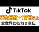 TikTok再生回数1万回以上拡散します TikTokをバズらせる再生ブースト！ イメージ1
