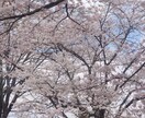 介護系の資格の勉強アドバイスをします 分からないこと不安なことを一緒に解決しましょう イメージ1