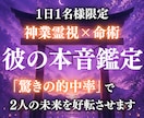 即日鑑定｜あの人の秘めた想いと今後を見抜きます 10000文字以上の鑑定で2人を最高の未来へお連れします イメージ1