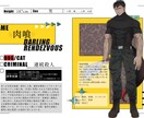 キャラクターシートの文章作成します 一次創作企画用のCS文章作成を代行します！ イメージ1