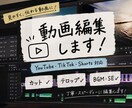 動画編集ならなんでもします YouTube・TikTok・ショート動画を丁寧に編集します イメージ1