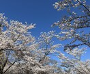 お話・お悩み・愚痴聞きます 恋愛・仕事・人間関係の愚痴なんでもどうぞ(^^)⭐︎ イメージ1
