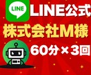 株式会社M様専用：60分×3回サポート行います LINE運用を、実践的に・着実にサポートいたします。 イメージ1