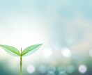心を休ませるカウンセリング相談をします 臨床心理士になり損ねたものによるカウンセリング イメージ1