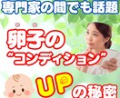 クリックUPYoutubeサムネ８００円で作ります 心理学×コピー力でCTR最大化。５枚セット４,０００円で制作 イメージ3