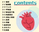 内部系解剖生理学の範囲をわかりやすく解説します 理学療法士兼講師の私が内部系解剖生理学をわかりやすく解説！ イメージ4